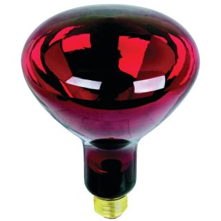 250 WATT RED HEAT LAMP BULB 250R40/R 200