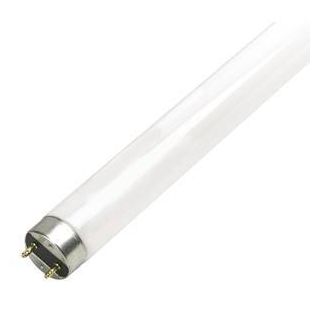 FLUORESCENT BULB 48" T8 32W BI-PIN 41