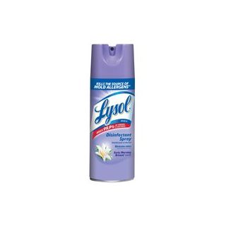 LYSOL SPRAY 12OZ MORN BREEZE
