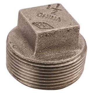 BLK PLUG 2" MALLEABLE