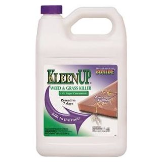 KLEEN UP WEED/GRASS KILLER GAL CONCENTRA