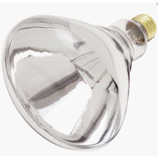 250W R40 HEAT LAMP BULB MED BASE CLEAR 1