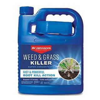 BIOADVANCED WEED/GRASS KILLER 64OZ SUPER