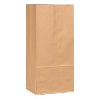#3 HEAVY PAPER BAG 400BDL