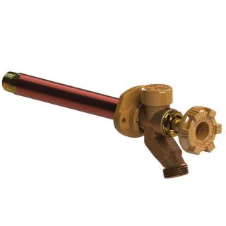 1/2" PEX WALL HYDRANT 12"